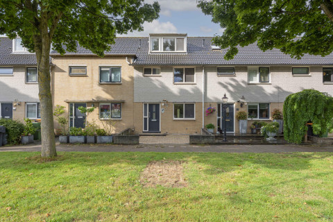 Gele Varaan 25 Heerhugowaard